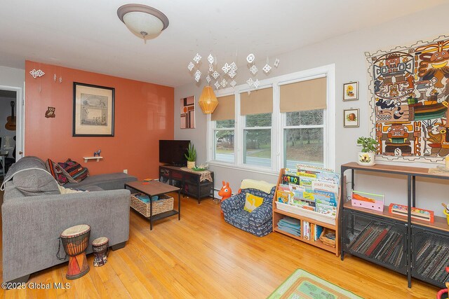 living room with wood finished floors