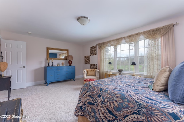 1014 Catherines Woods Dr, Niskayuna, NY 12309 - carpeted bedroom with baseboards