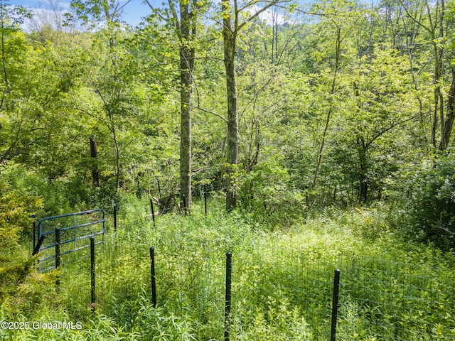 616 Enid Rd, Summit, NY 12175