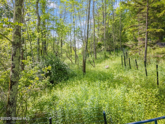 616 Enid Rd, Summit, NY 12175