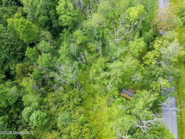 616 Enid Rd, Summit, NY 12175