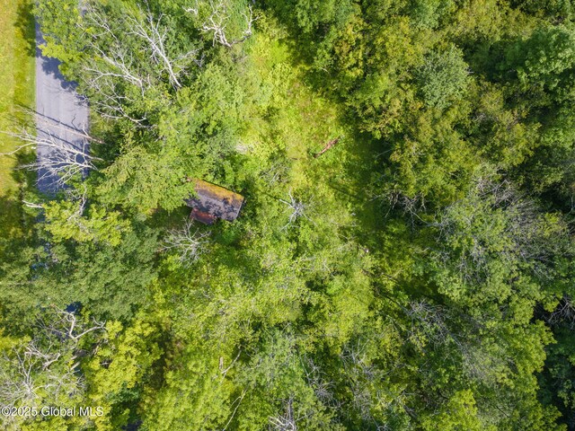 616 Enid Rd, Summit, NY 12175