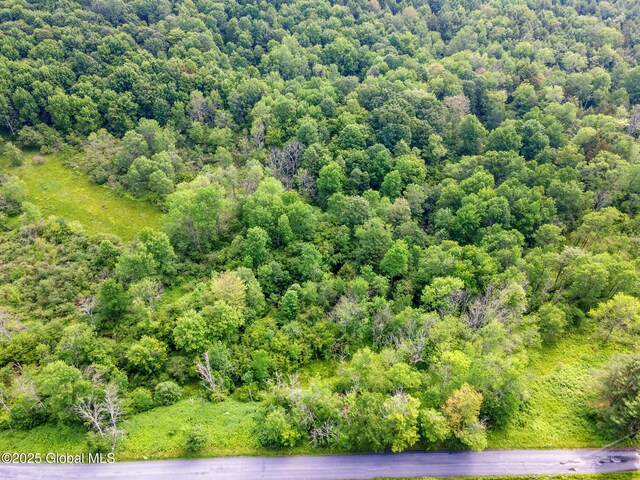 616 Enid Rd, Summit, NY 12175