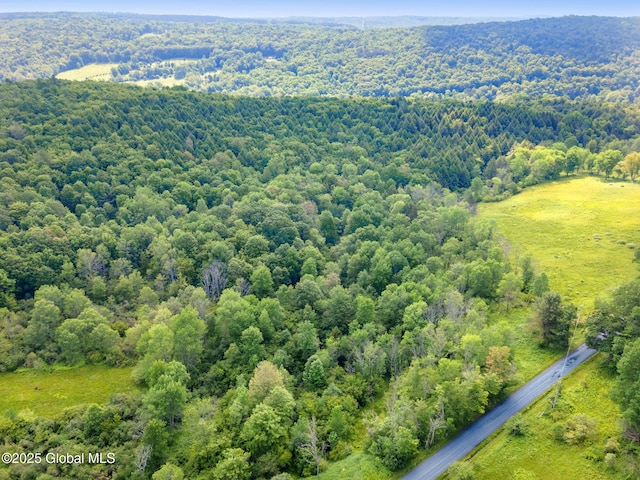 616 Enid Rd, Summit, NY 12175