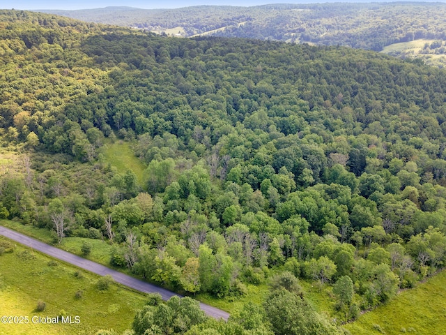 616 Enid Rd, Summit, NY 12175
