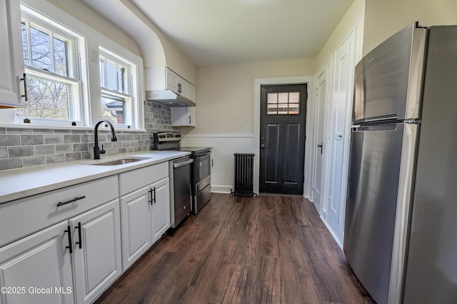 kitchen featuring dark wood-style flooring, appliances with stainless steel finishes, a sink, under cabinet range hood, and white cabinetry