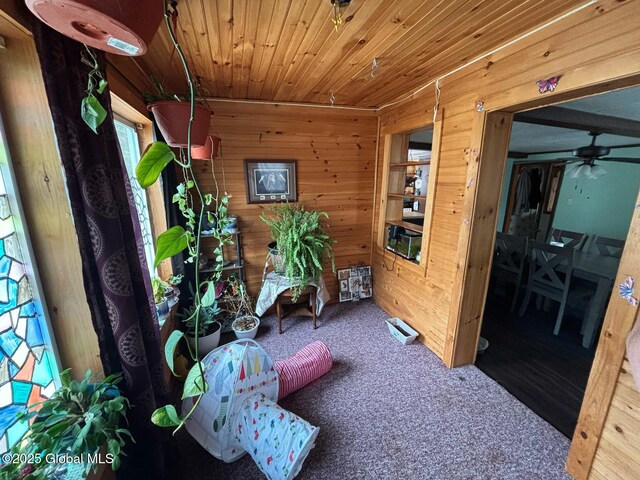 interior space featuring wooden walls, carpet flooring, wood ceiling, and ceiling fan