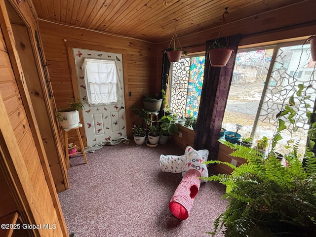 interior space with wooden walls and wood ceiling
