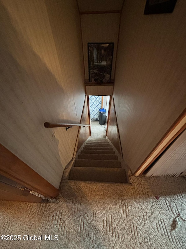 stairs with carpet floors