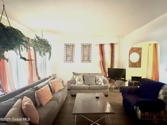 living area featuring wood finished floors