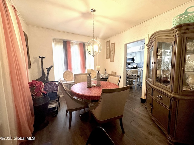 dining area featuring dark wood-type flooring