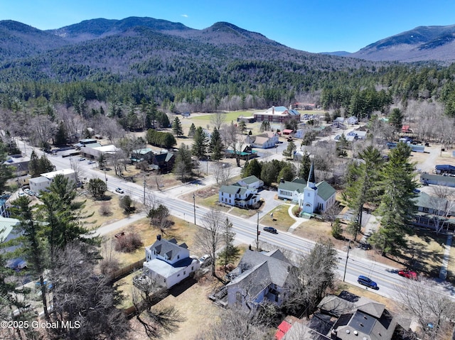 1794 Nys Route 73, Keene, NY 12942 - photo 60