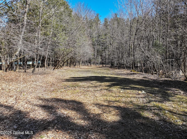 1794 Nys Route 73, Keene, NY 12942 - photo 71