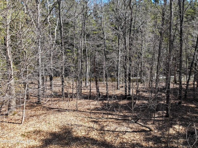 1794 Nys Route 73, Keene, NY 12942 - photo 72