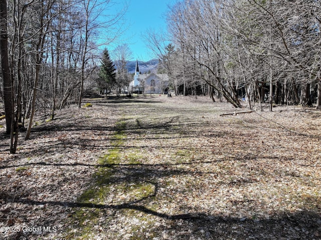 1794 Nys Route 73, Keene, NY 12942 - photo 73