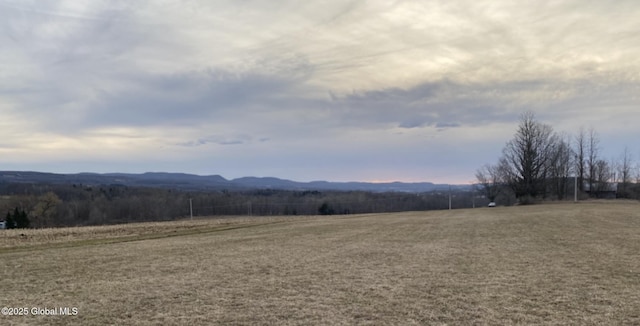 L15 Old Sharon Rd, Canajoharie, NY 13317