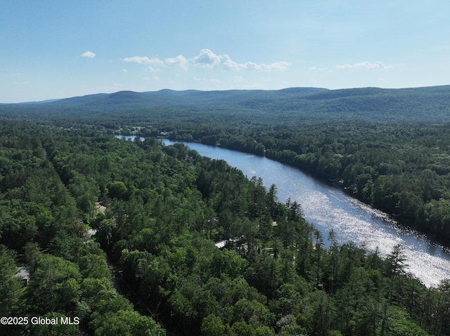 12 Bluebird Dr, Lake Luzerne, NY 12846 - photo 89