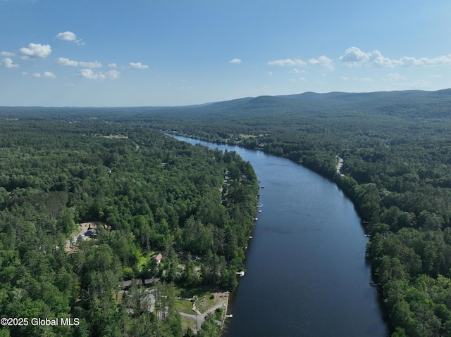 12 Bluebird Dr, Lake Luzerne, NY 12846 - photo 90