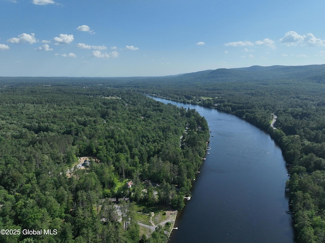 12 Bluebird Dr, Lake Luzerne, NY 12846 - photo 91