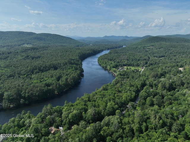 12 Bluebird Dr, Lake Luzerne, NY 12846 - photo 94