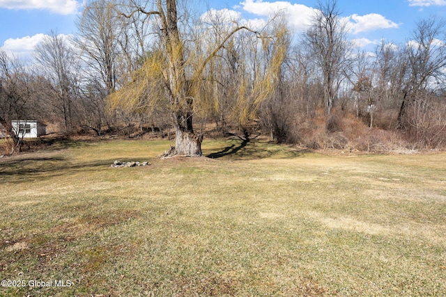 view of grassy yard