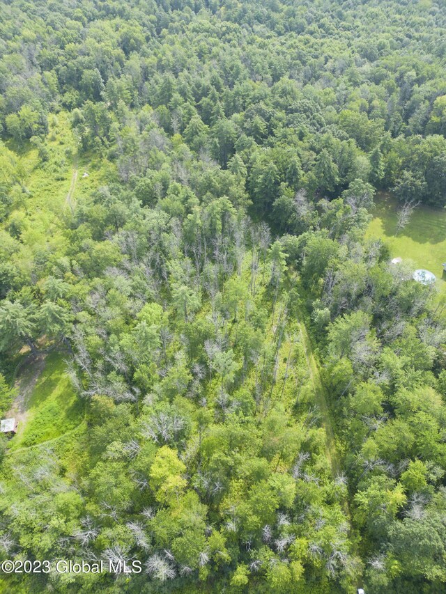 2090 Rowley Rd, Malta, NY 12020 - photo 5