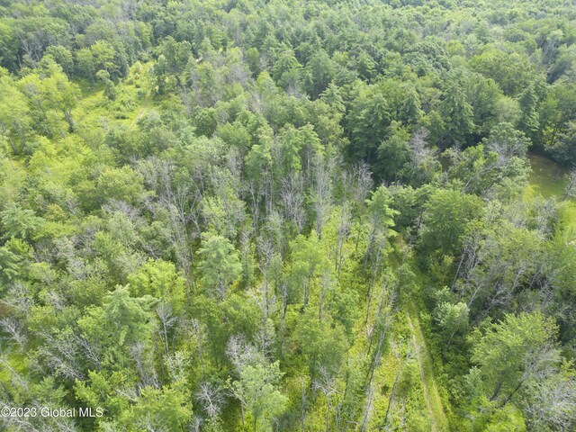 2090 Rowley Rd, Malta, NY 12020 - photo 6