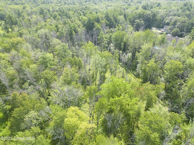 2090 Rowley Rd, Malta, NY 12020 - photo 8