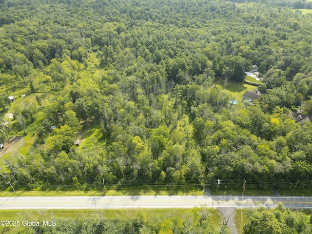 2090 Rowley Rd, Malta, NY 12020 - photo 4