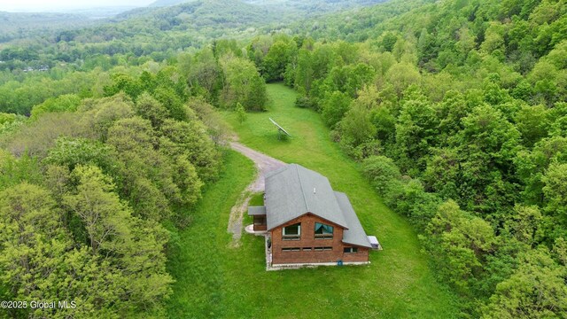 2158 Coach Rd, Argyle, NY 12809 - view from above of property with a forest