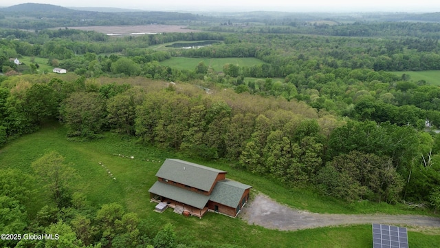 2158 Coach Rd, Argyle, NY 12809 - aerial view of property's location with a forest