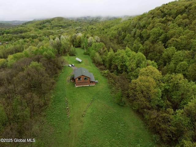 2158 Coach Rd, Argyle, NY 12809 - view of subject property with a heavily wooded area
