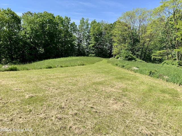2158 Coach Rd, Argyle, NY 12809 - view of yard