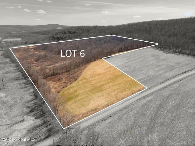 L6 Patrick Rd, Richmondville, NY 12149 - photo 1