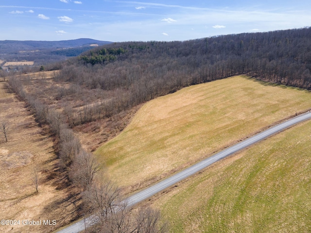 L6 Patrick Rd, Richmondville, NY 12149 - photo 2