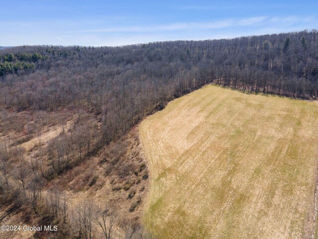 L6 Patrick Rd, Richmondville, NY 12149 - photo 3