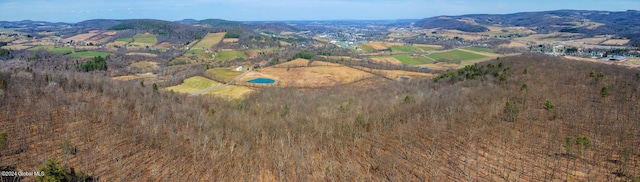 L6 Patrick Rd, Richmondville, NY 12149 - photo 4