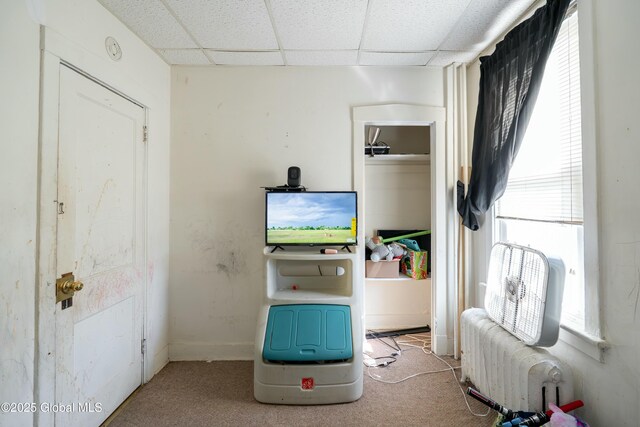 carpeted bedroom featuring a drop ceiling and radiator