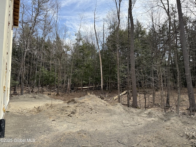 36 Eastside Dr, Clifton Park, NY 12019 - photo 35