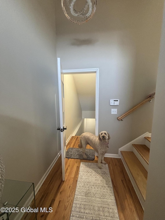 stairway with baseboards and wood finished floors