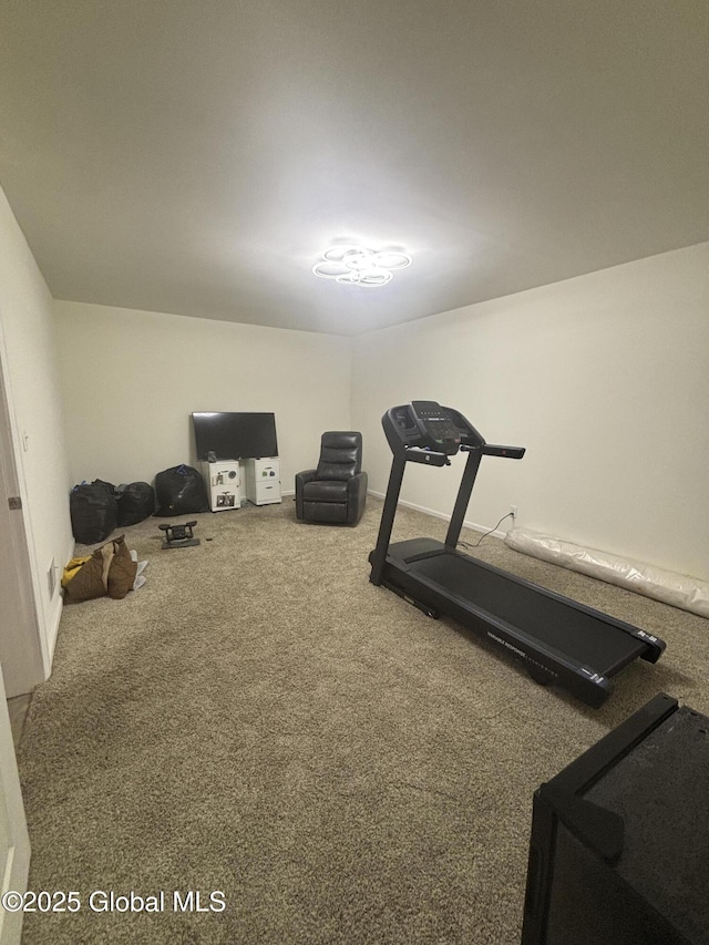 exercise room featuring carpet floors