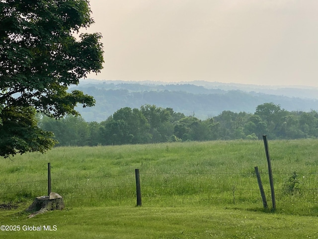 228 Brower Rd, Palatine Bridge, NY 13428 - view of mountain background featuring rural landscape and a heavily wooded area