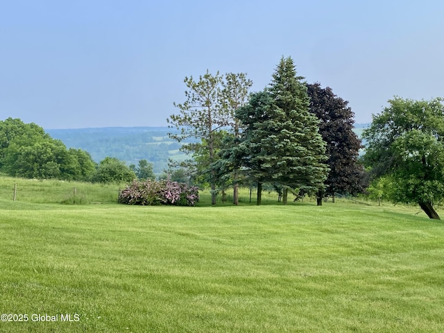 228 Brower Rd, Palatine Bridge, NY 13428 - view of green lawn