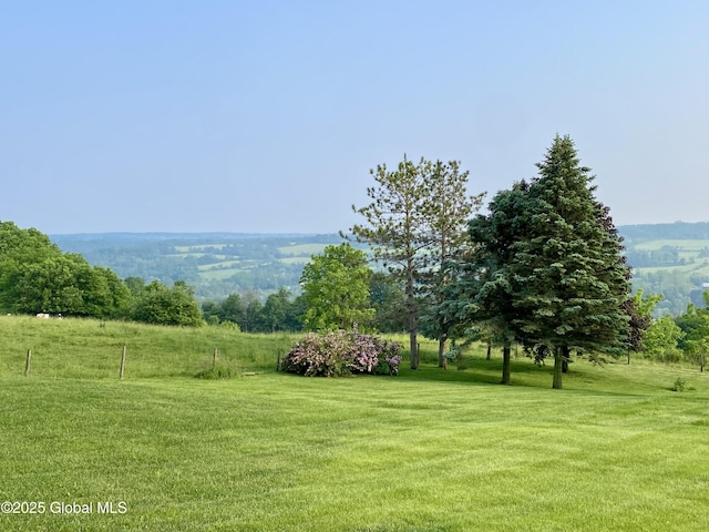 228 Brower Rd, Palatine Bridge, NY 13428 - view of green lawn with a rural view