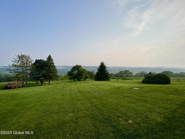 228 Brower Rd, Palatine Bridge, NY 13428 - view of green lawn