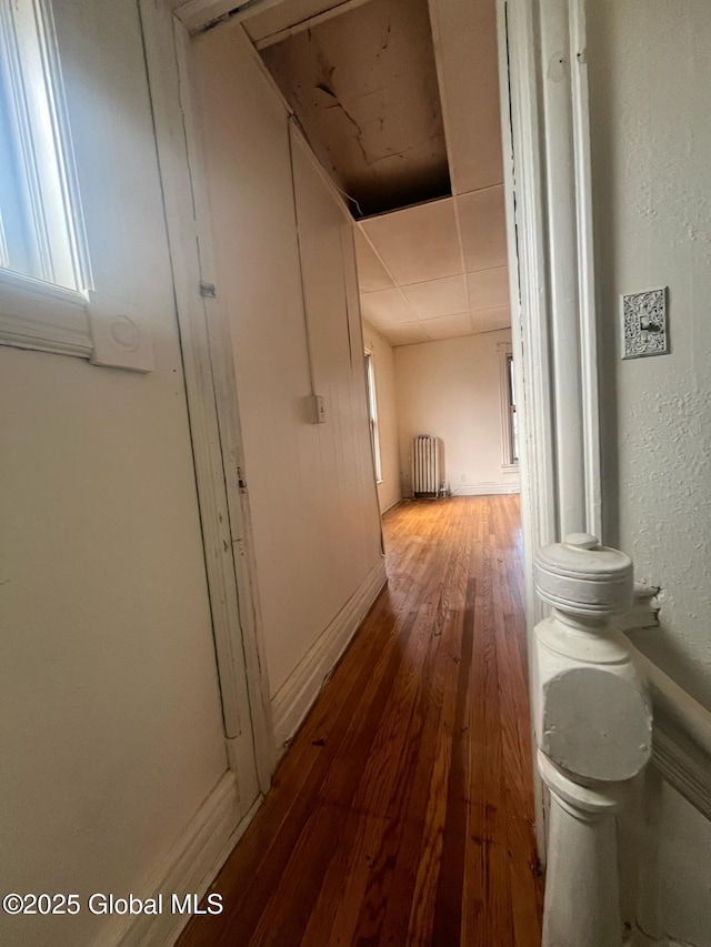 hallway with hardwood / wood-style floors, radiator heating unit, baseboards, a paneled ceiling, and a textured wall