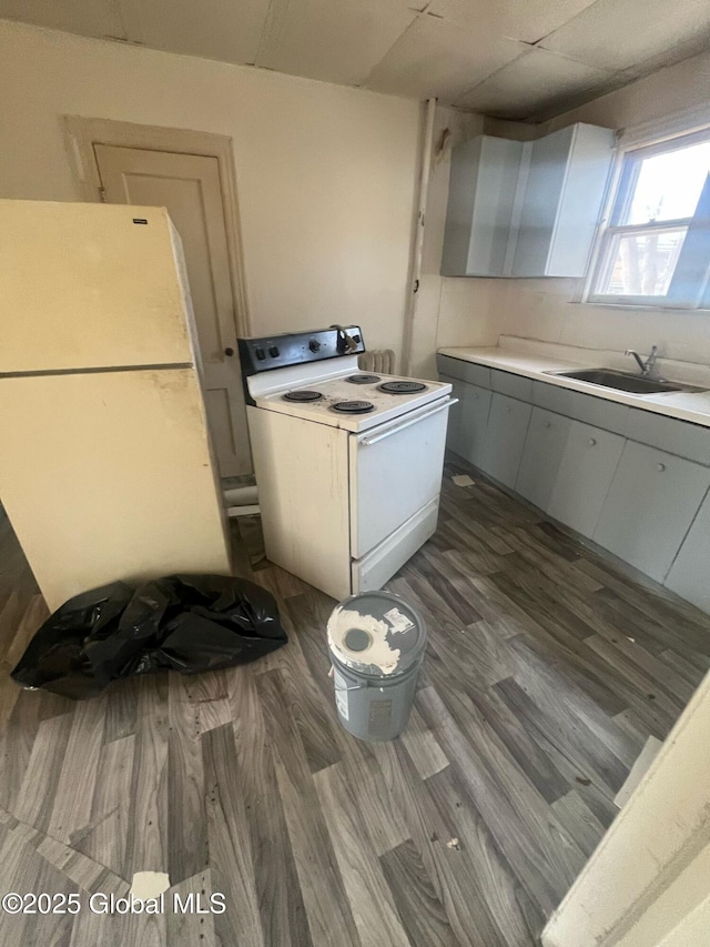kitchen featuring dark wood-style flooring, white appliances, light countertops, and a sink