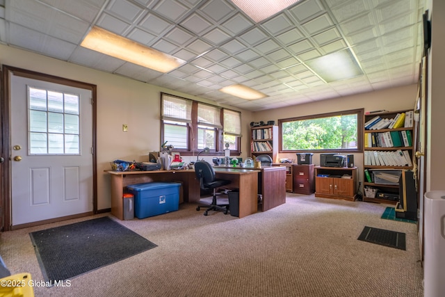 14 Pleasant St, Ballston Spa, NY 12020 - home office featuring plenty of natural light and light colored carpet