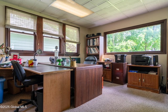 14 Pleasant St, Ballston Spa, NY 12020 - office space with light colored carpet