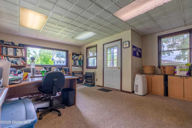 14 Pleasant St, Ballston Spa, NY 12020 - carpeted home office featuring healthy amount of natural light and baseboards